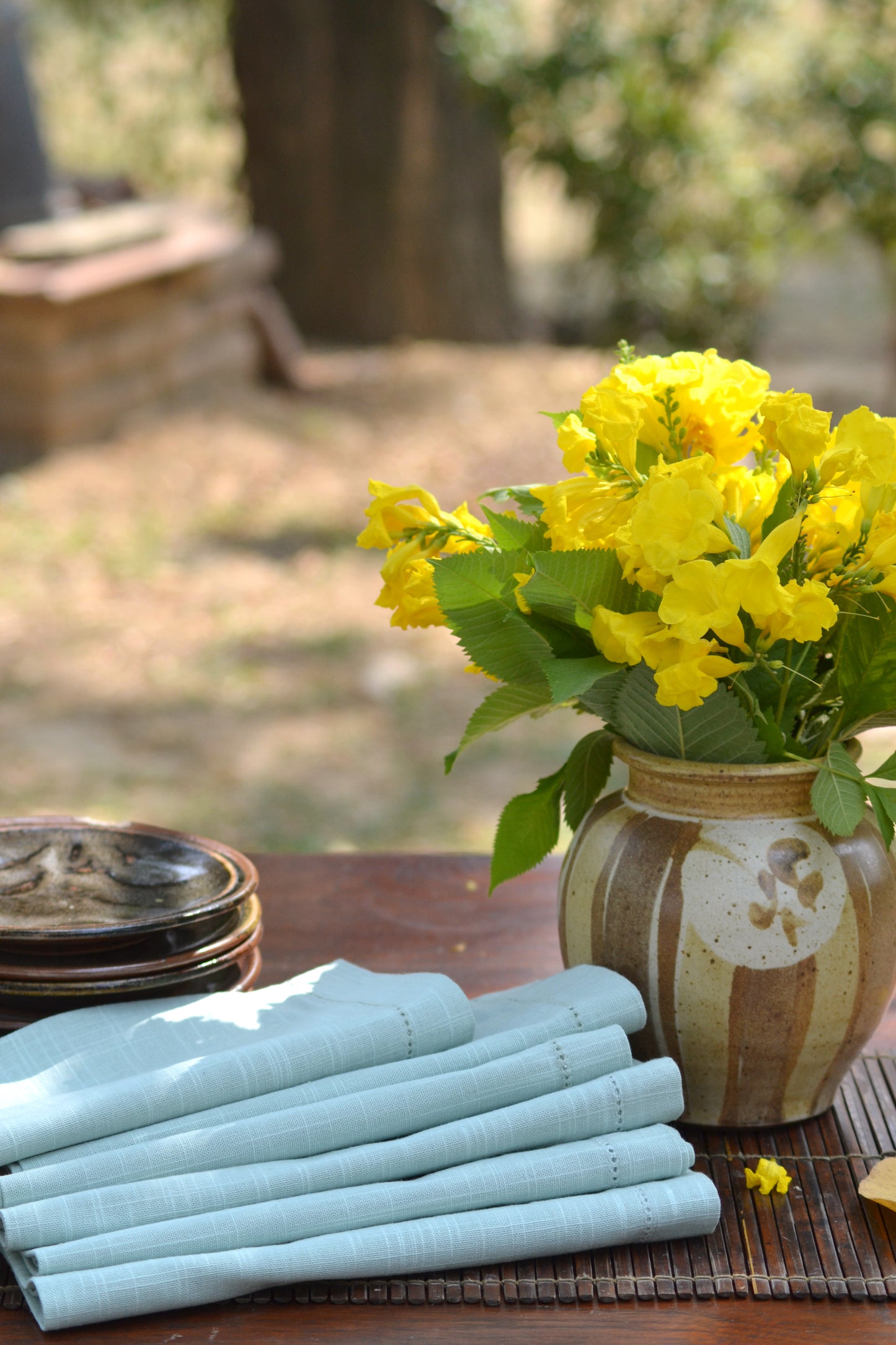 Solid Napkin Set Of 6 Sky