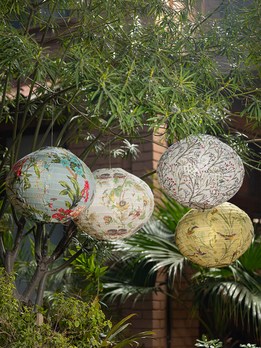 Bamboo Hanging Lamp : Assorted