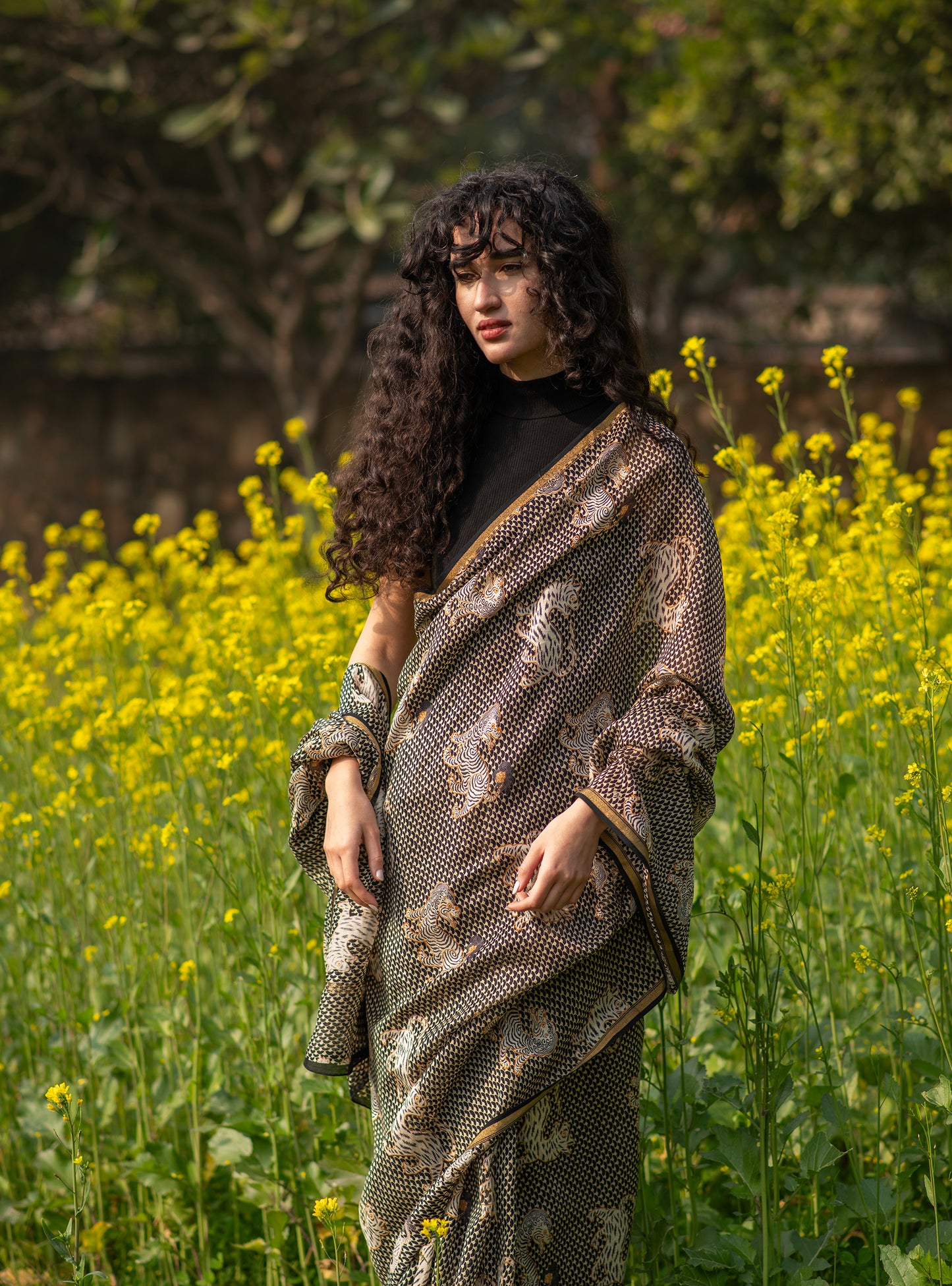 Saree: Tiger Black