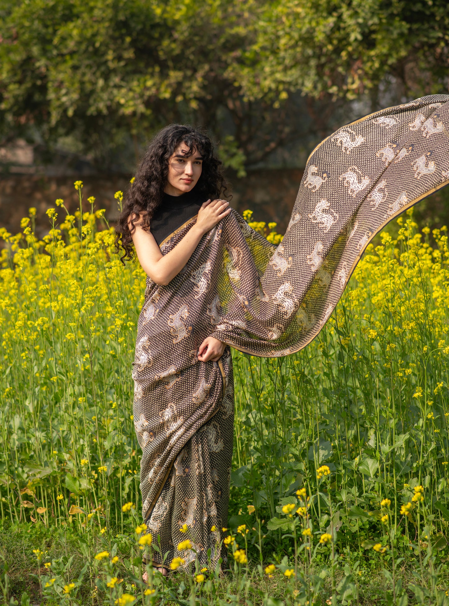 Saree: Tiger Black