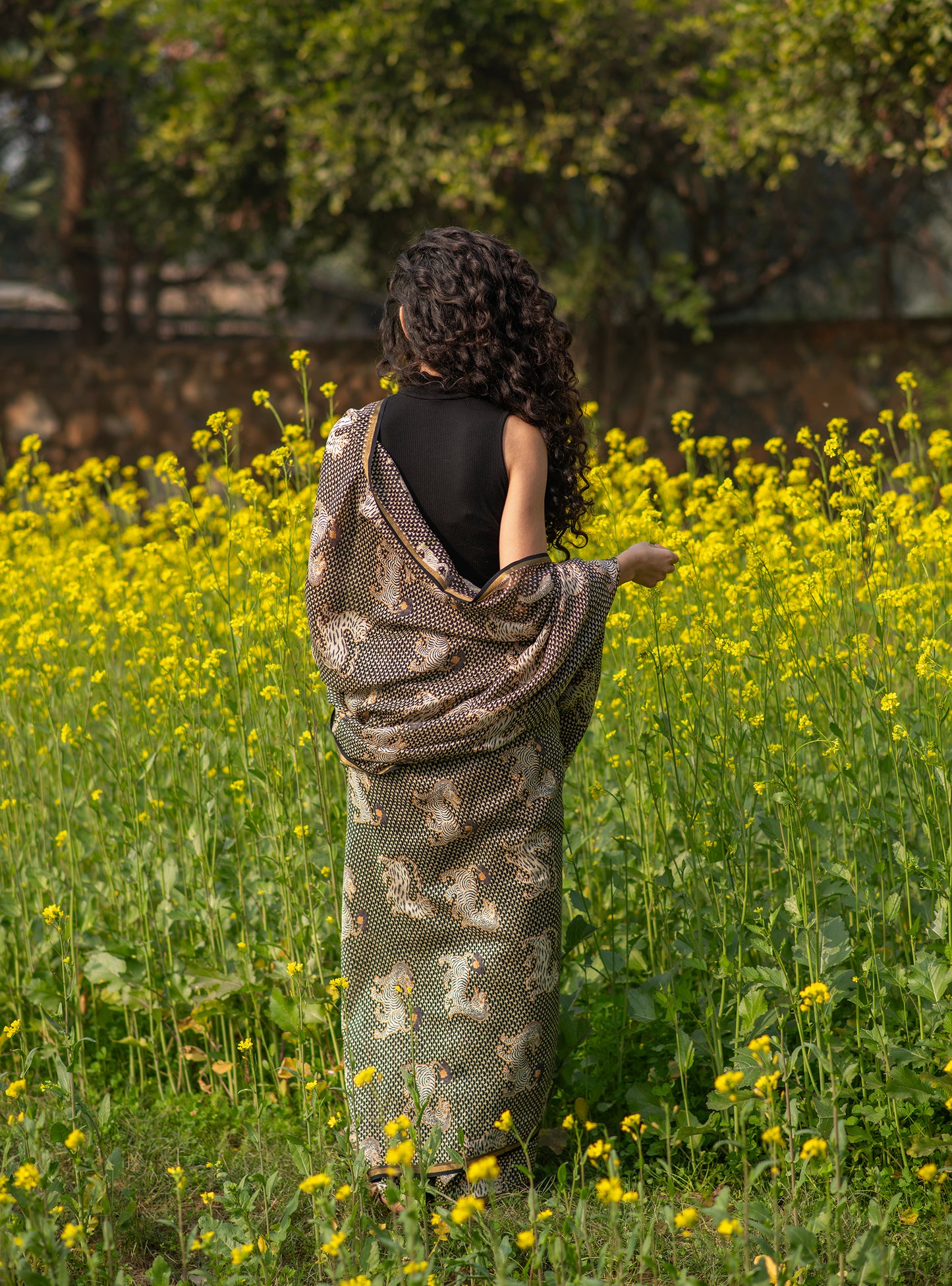 Saree: Tiger Black